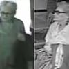 'Granny Thief' Arrested For Brooklyn Robberies Dies Day After Pleading Guilty